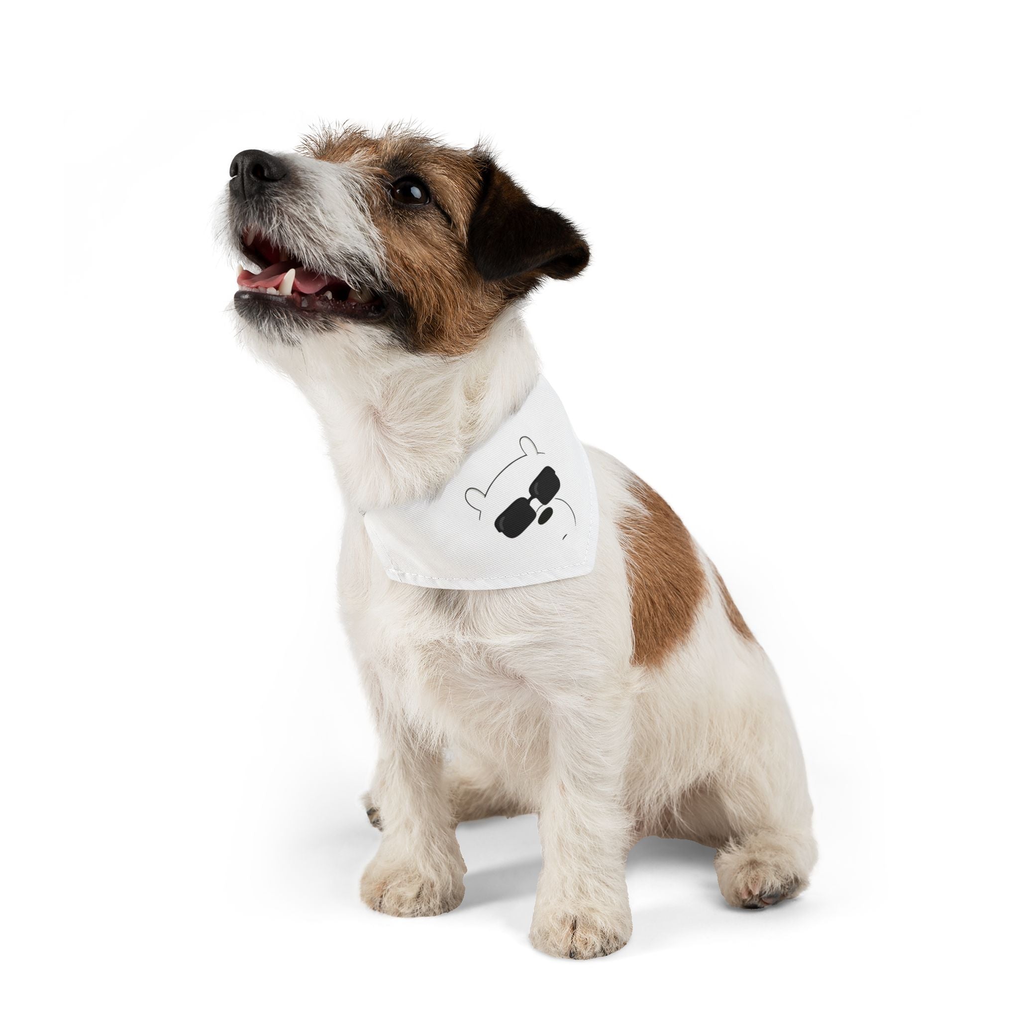 Cool Sunglasses Pet Bandana