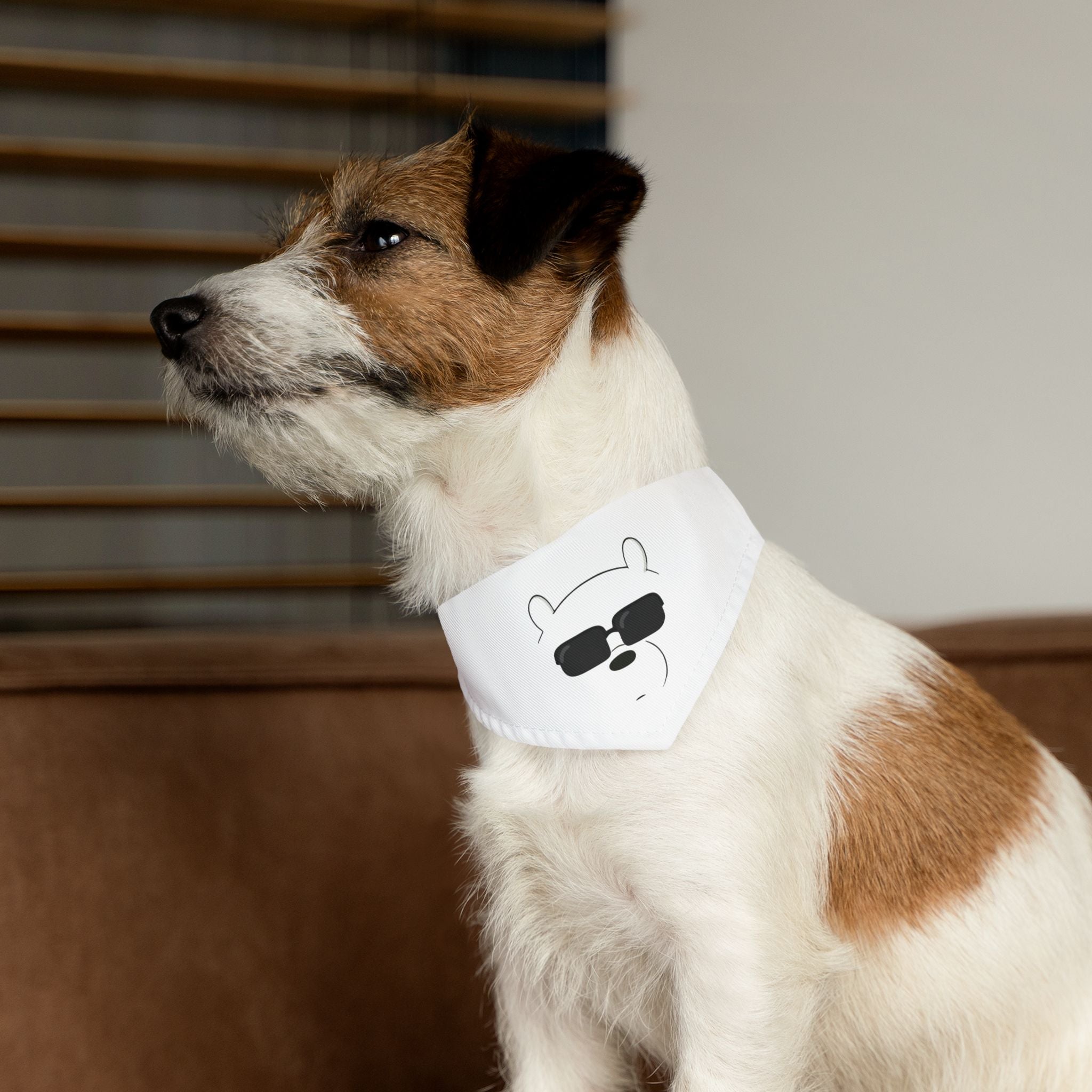 Cool Sunglasses Pet Bandana