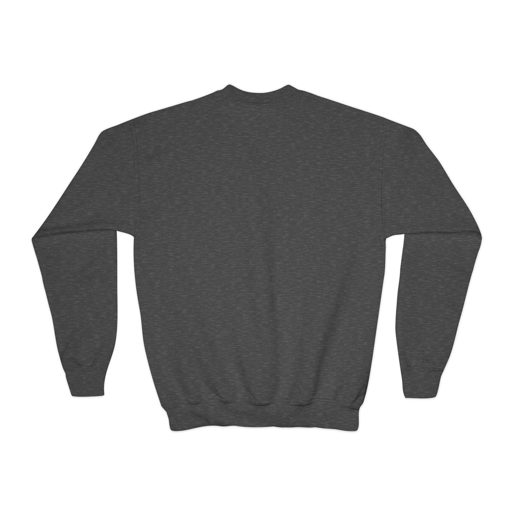 Halloween Youth Crewneck Sweatshirt, Spooky Sweatshirt, Kids Halloween Costume, Trick or Treat Gift, Fall Apparel, Cozy Halloween Clothing