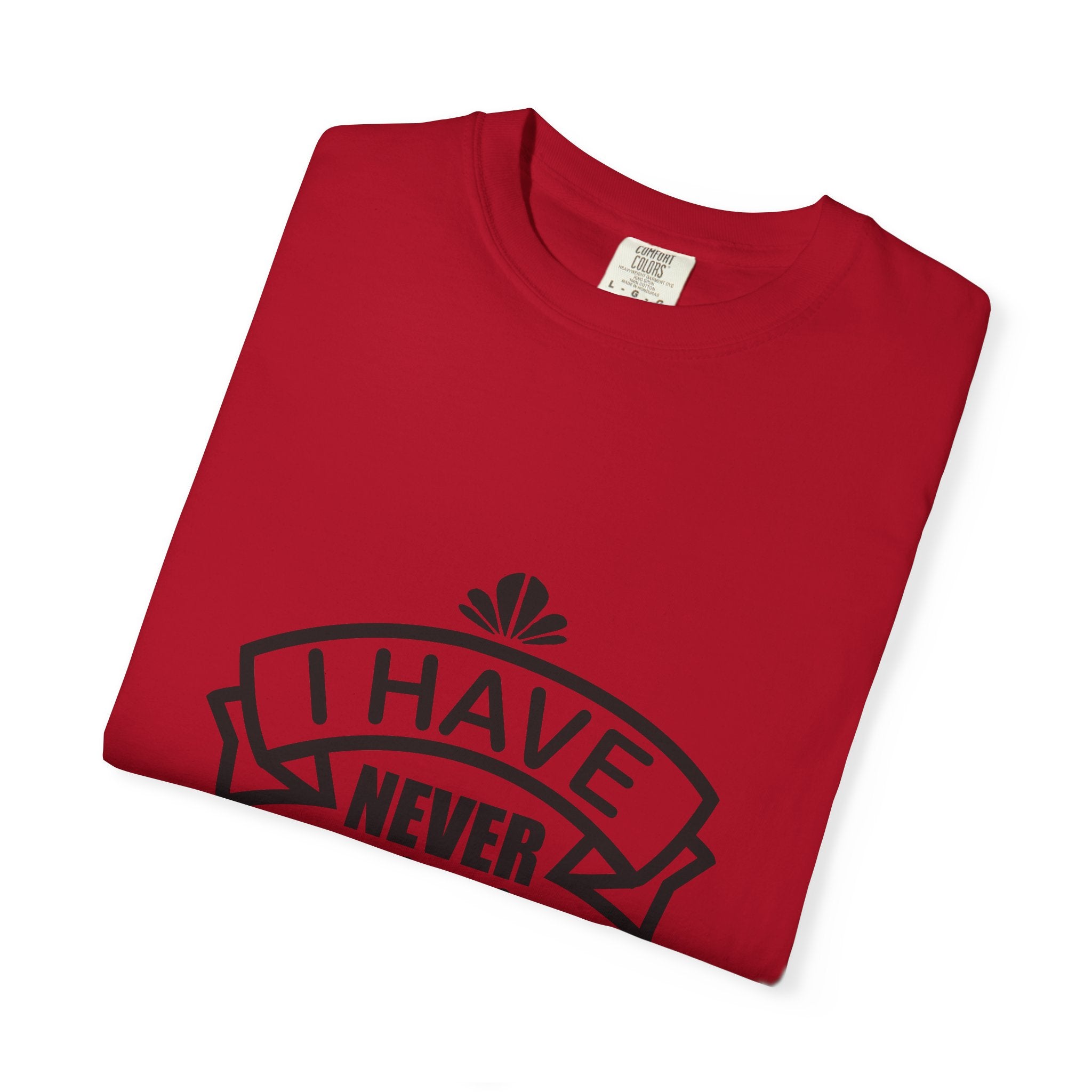 Sarcastic T-Shirt for Humor Lovers, Funny Gift for Friends or Family, Perfect for Casual Wear, Birthdays, and Holidays